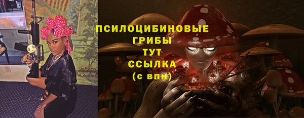 круглые Белокуриха