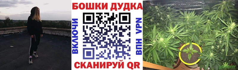 Шишки марихуана ГИДРОПОН  Белоозёрский 